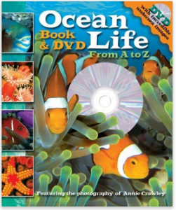Ocean Life from A to Z Book and DVD