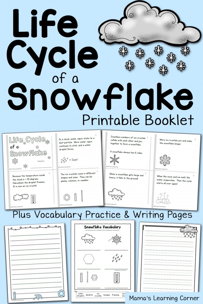 Snowflake Life Cycle Booklet and Vocabulary Practice