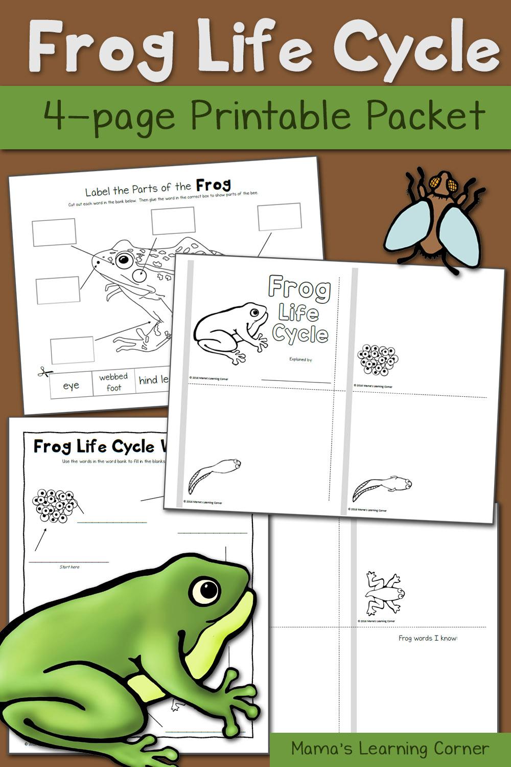 frog life cycle worksheets mamas learning corner