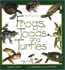 Frogs, Toads, and Turtles