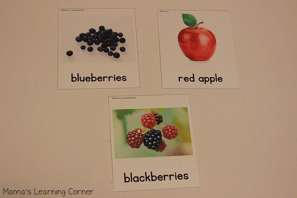 Fruit 3 Part Cards