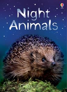 Night Animals