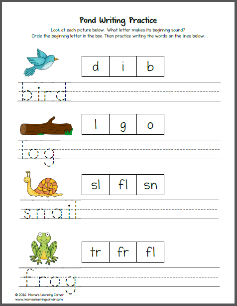 Pond Worksheets for K and First