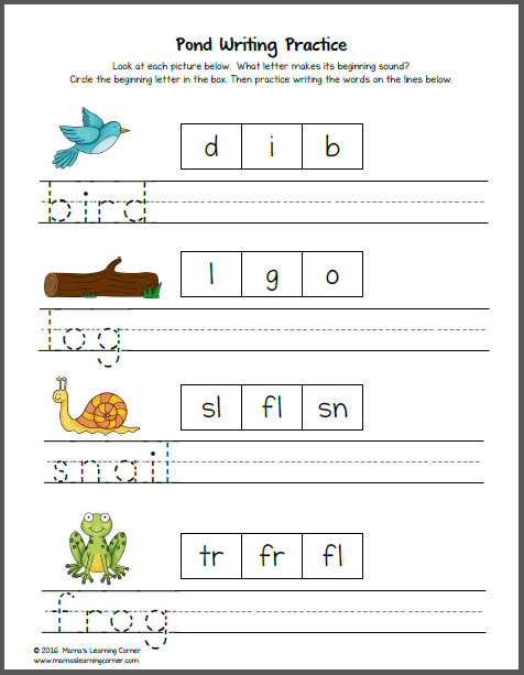 Animal themed math worksheets for 3rd grade