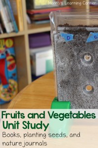 Studying Fruits and Vegetables: Hands On Activities