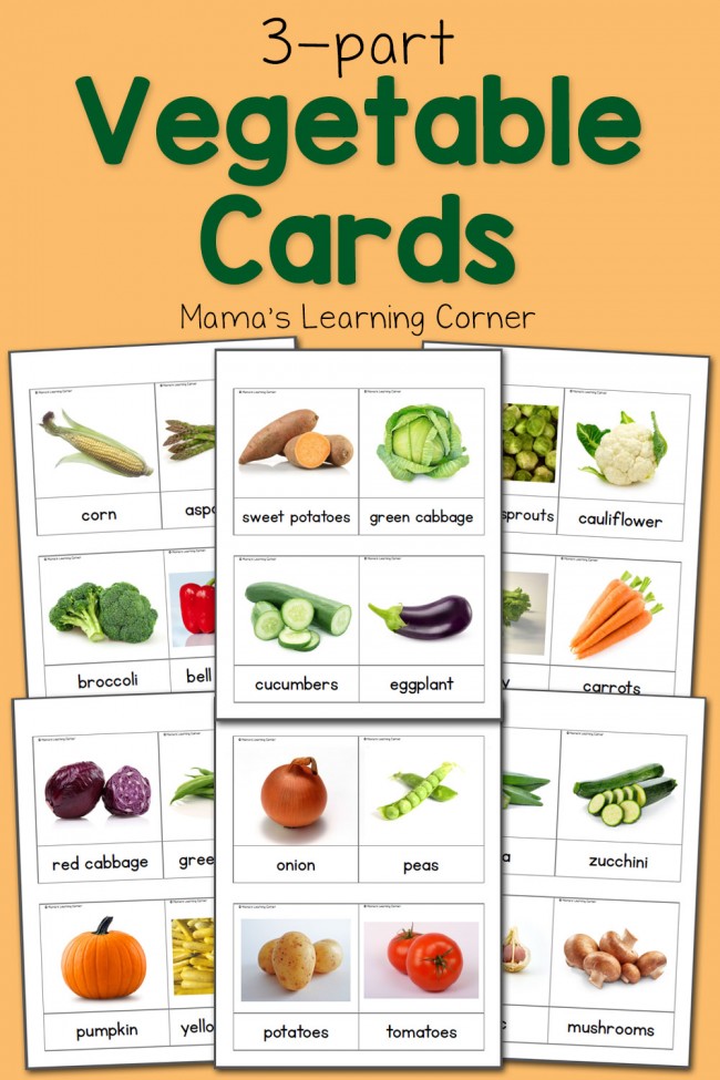 vegetable 3 part cards mamas learning corner