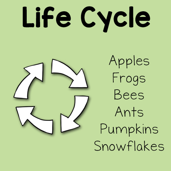 Life Cycle Printables