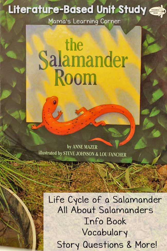 The Salamander Room - Life Cycle of a Salamander, All About Salamanders Info Booklet, Vocabulary, and more!