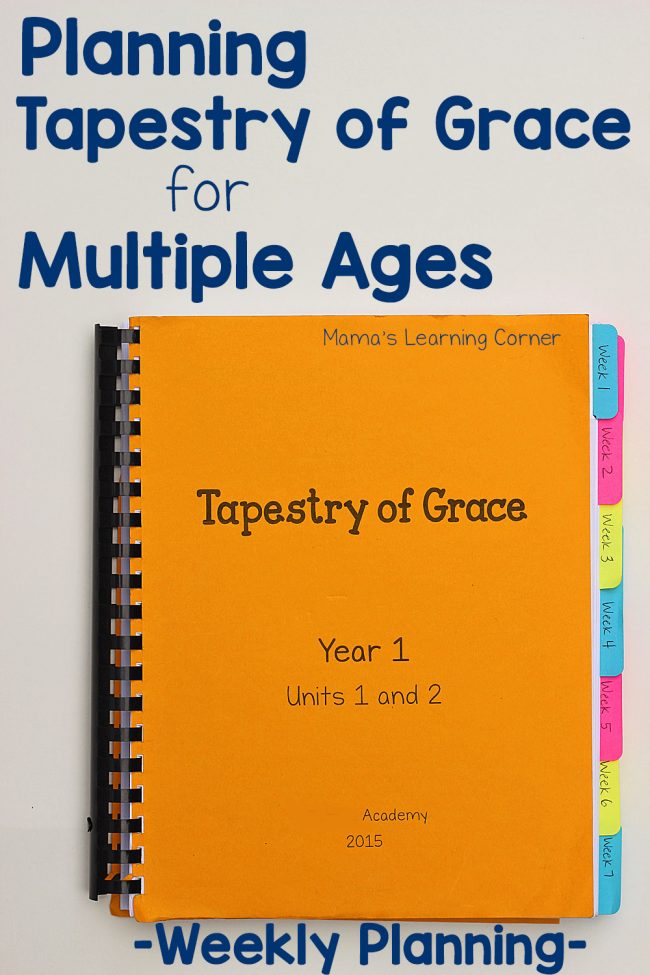 Planning Tapestry of Grace for Multiple Ages - practical tips and suggestions!