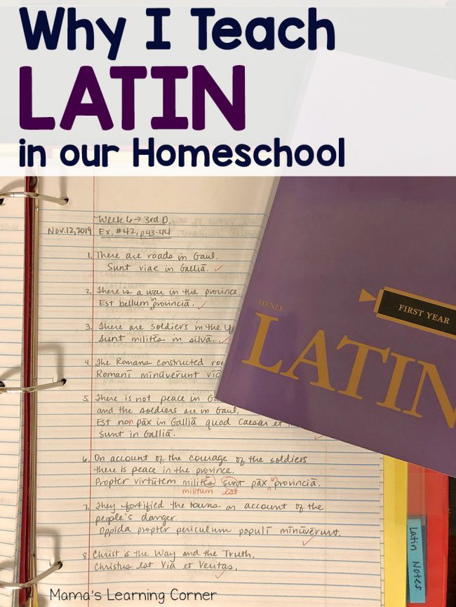 Why I Teach Latin in Our Homeschool