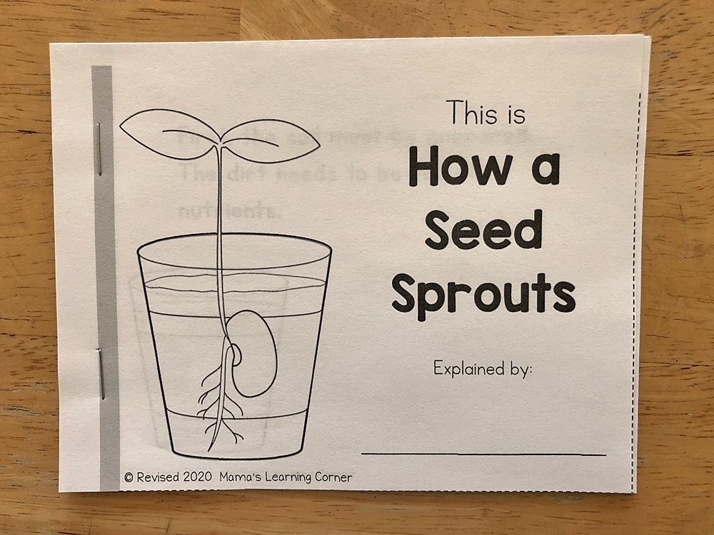 How a Seed Sprouts Booklet Cover Page