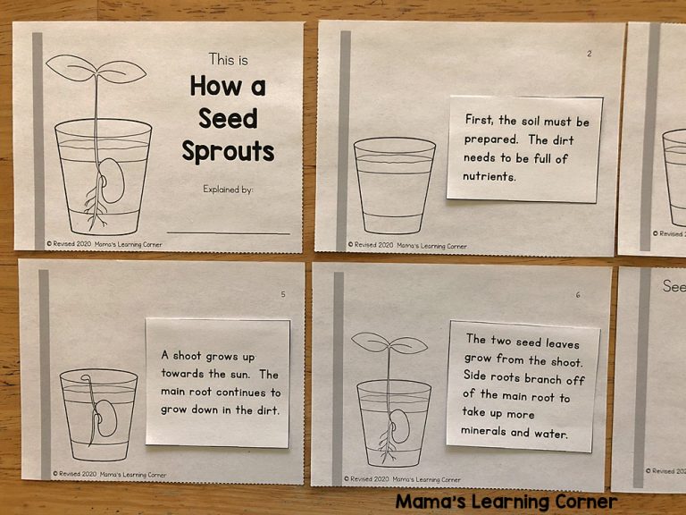 Seed Writing Activities Mamas Learning Corner