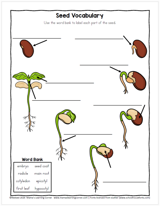 Seed Vocabulary Pages with Word Bank - Mamas Learning Corner Seed Vocabulary Pages with Word Bank