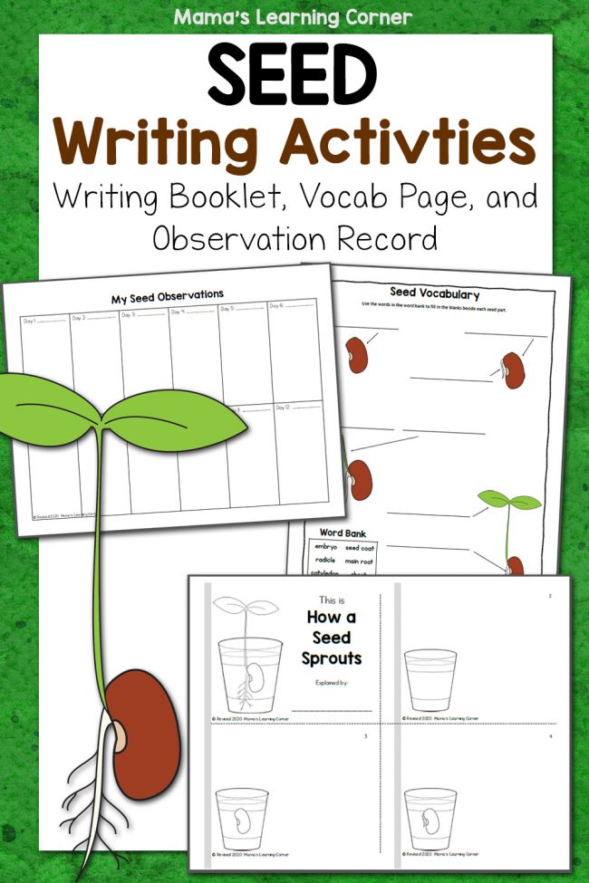 Seed Writing Activities