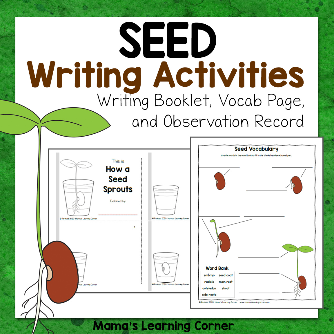 Seed Writing Activities