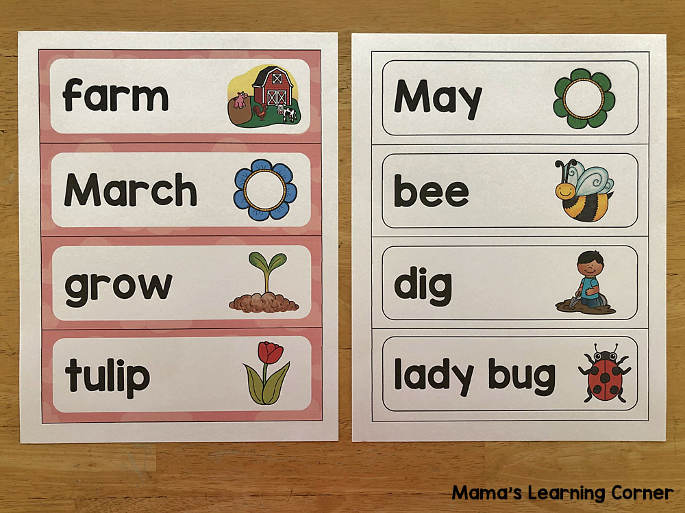 Spring Word Wall and File Folder Activities