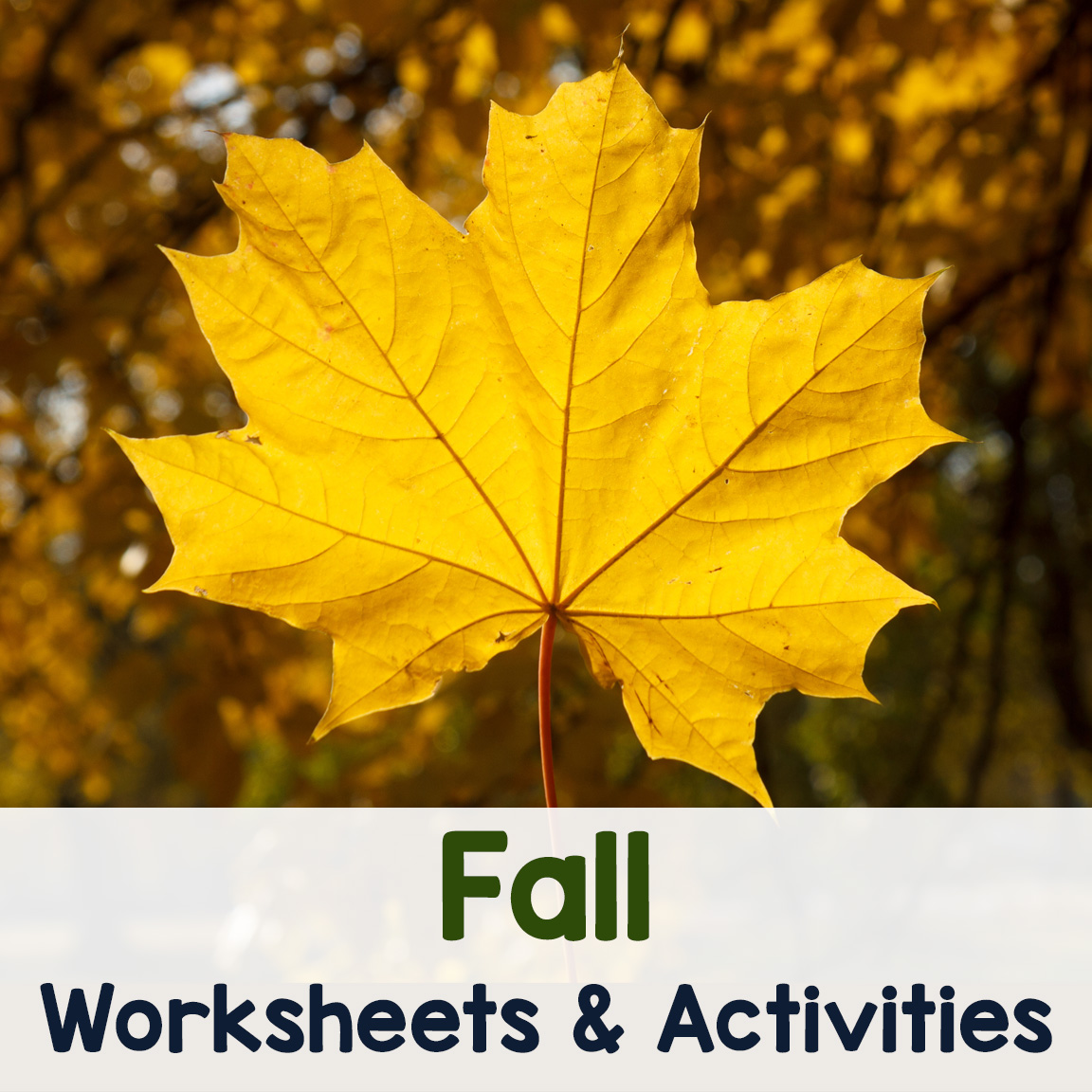 Fall Worksheets and Activities