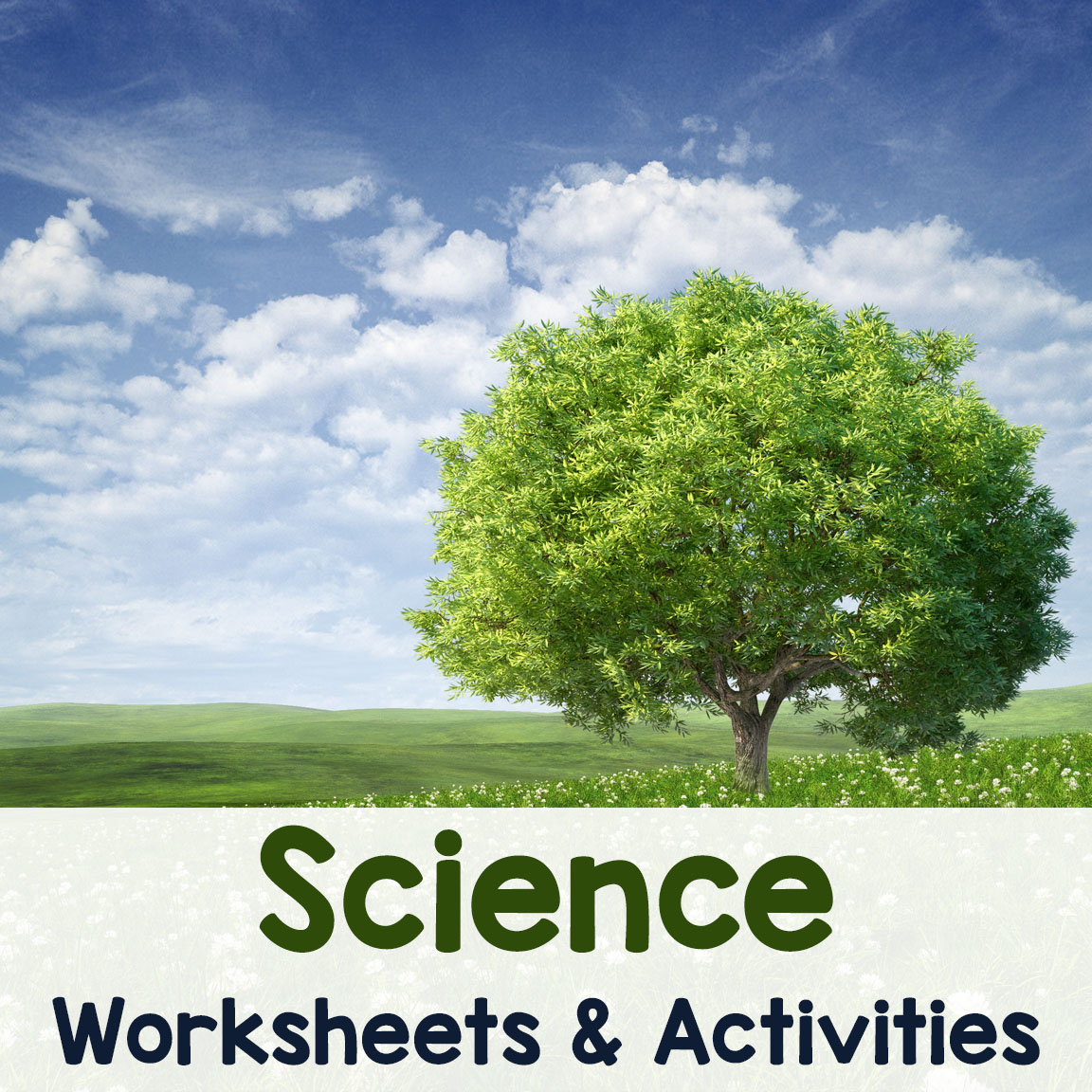 Science Worksheets and Activities