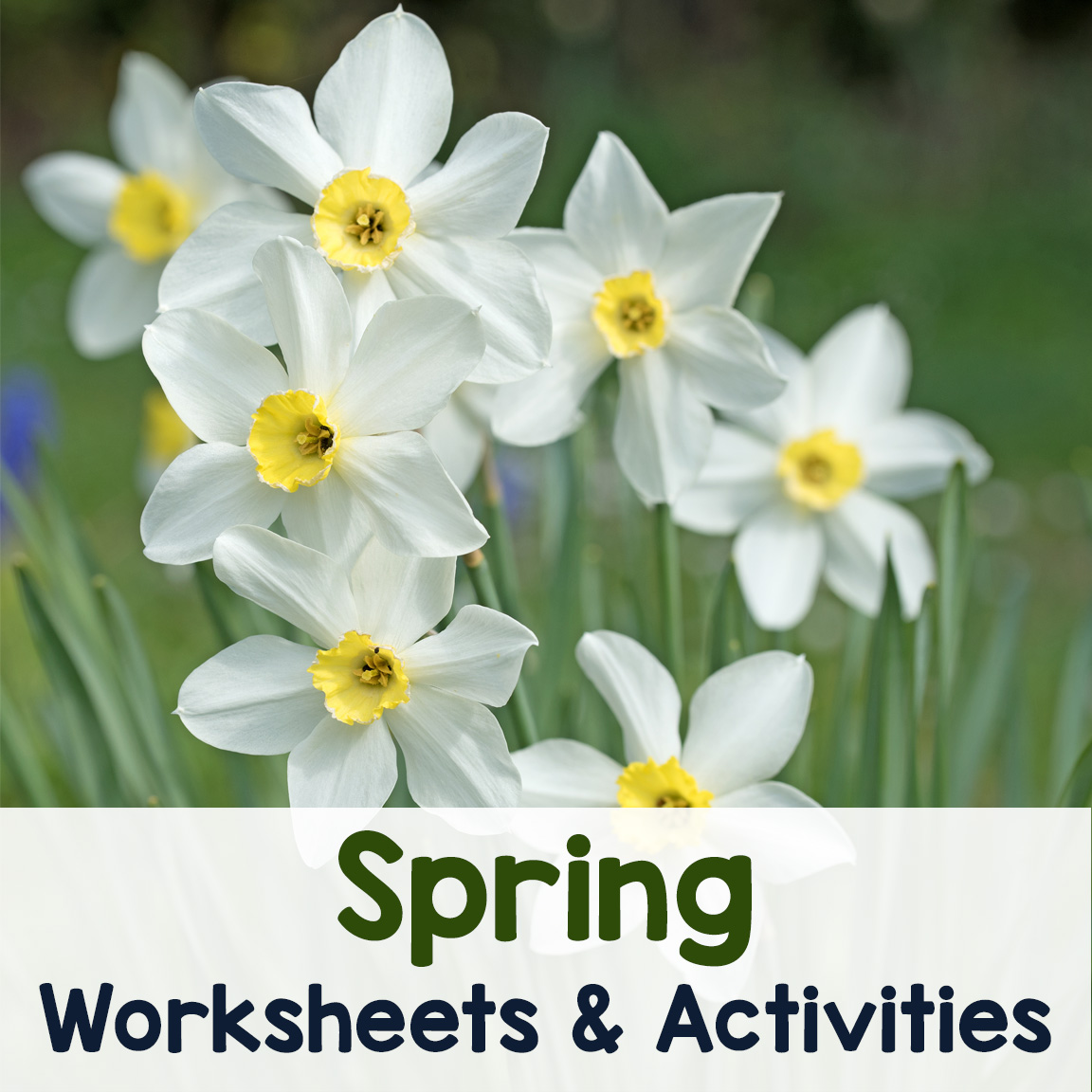 Spring Worksheets and Activities