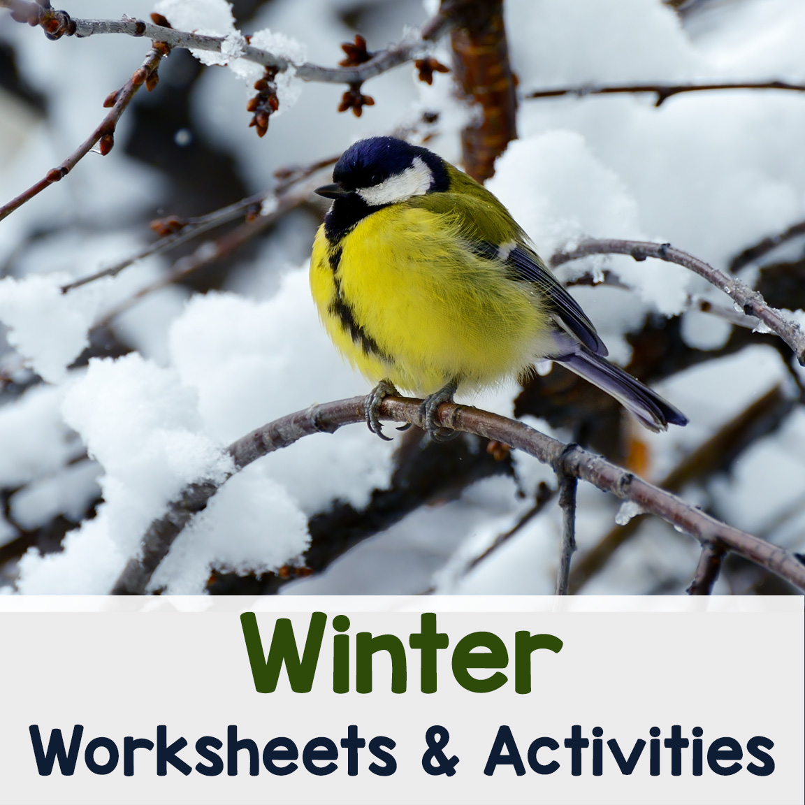 Winter Worksheets and Activities