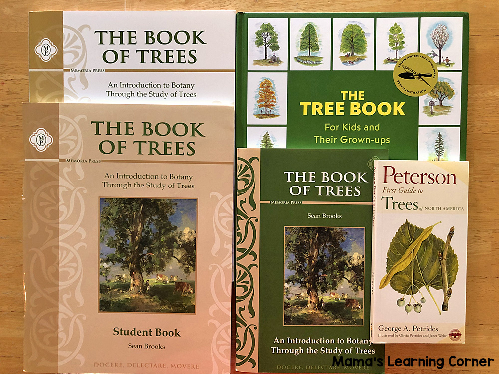 6th Grade Homeschool Curriculum Book of Trees Study