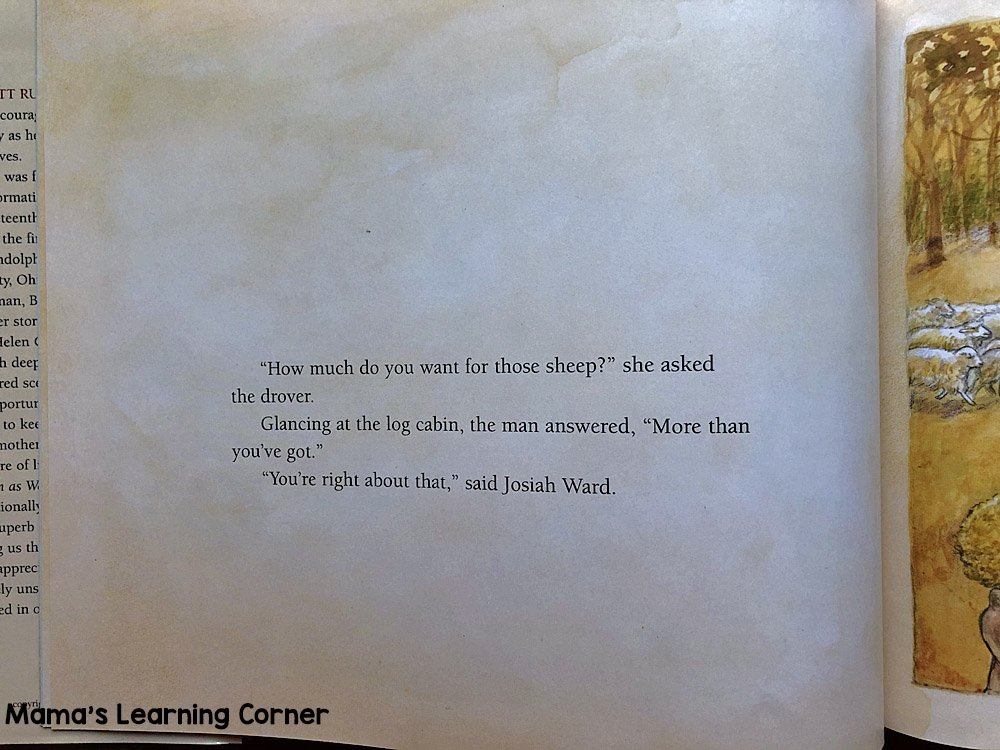 Warm as Wool Children's Book