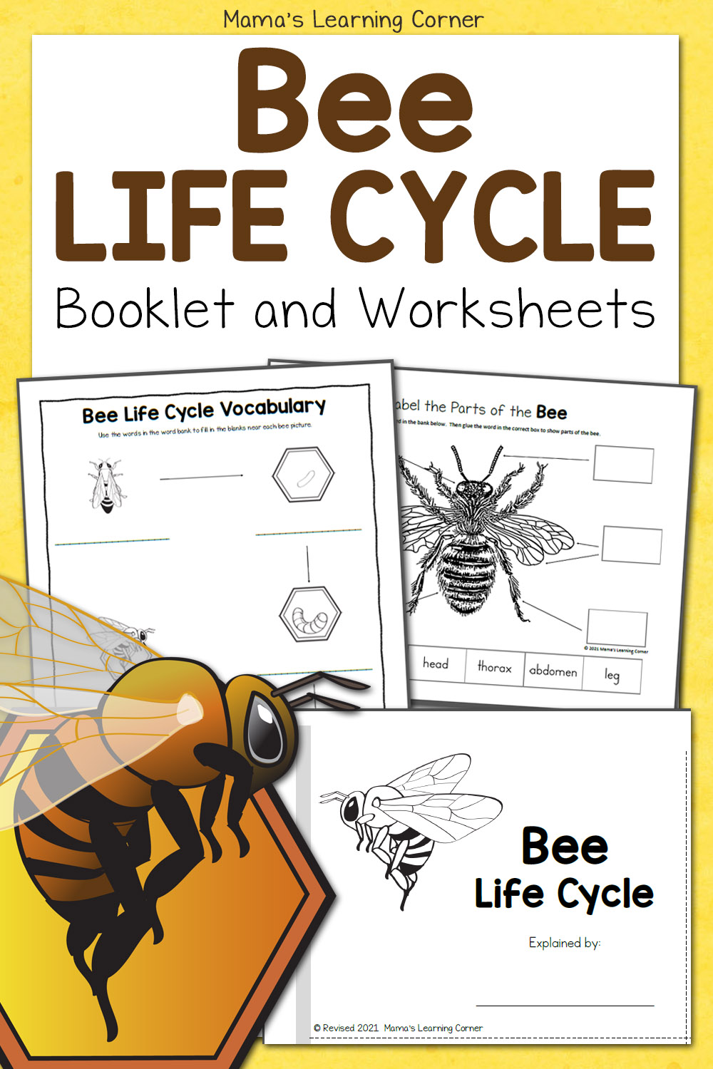 bee life cycle worksheets mamas learning corner