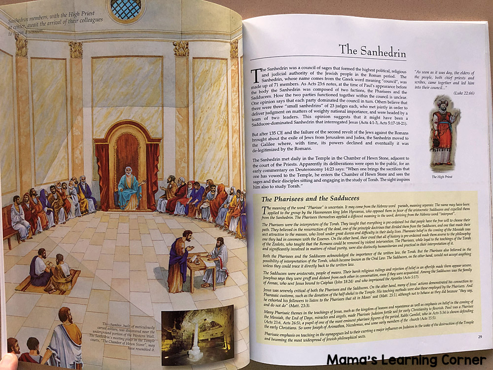 Daily Life at the Time of Jesus Children's Book