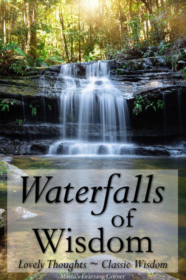 Waterfalls of Wisdom Quotes