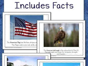 US Symbols Posters with Facts