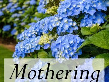 Mothering Matters Simple thoughts about being a mother