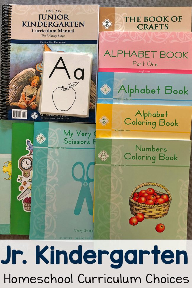 Early Kindergarten Homeschool Curriculum Plans for 20212022