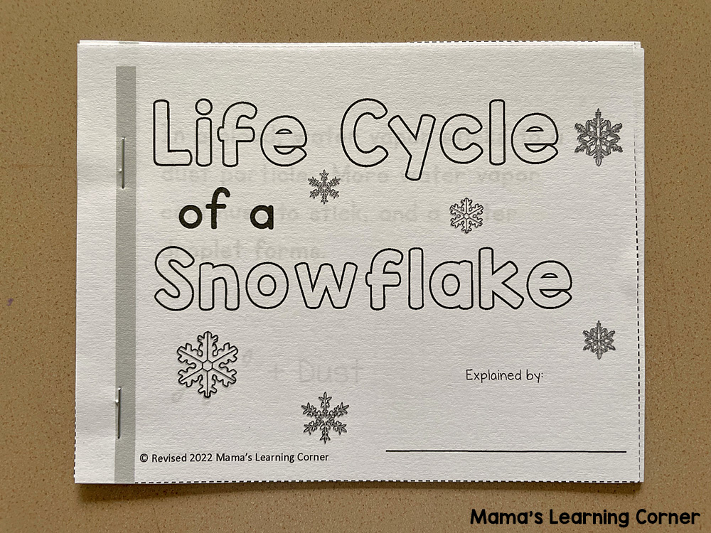 Snowflake Life Cycle Booklet