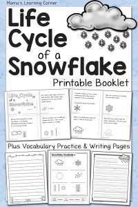 Snowflake Life Cycle Booklet and Vocabulary Worksheet