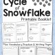 Snowflake Life Cycle Booklet and Vocabulary Worksheet