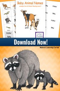 Baby Animal Names Match Game from All About Learning