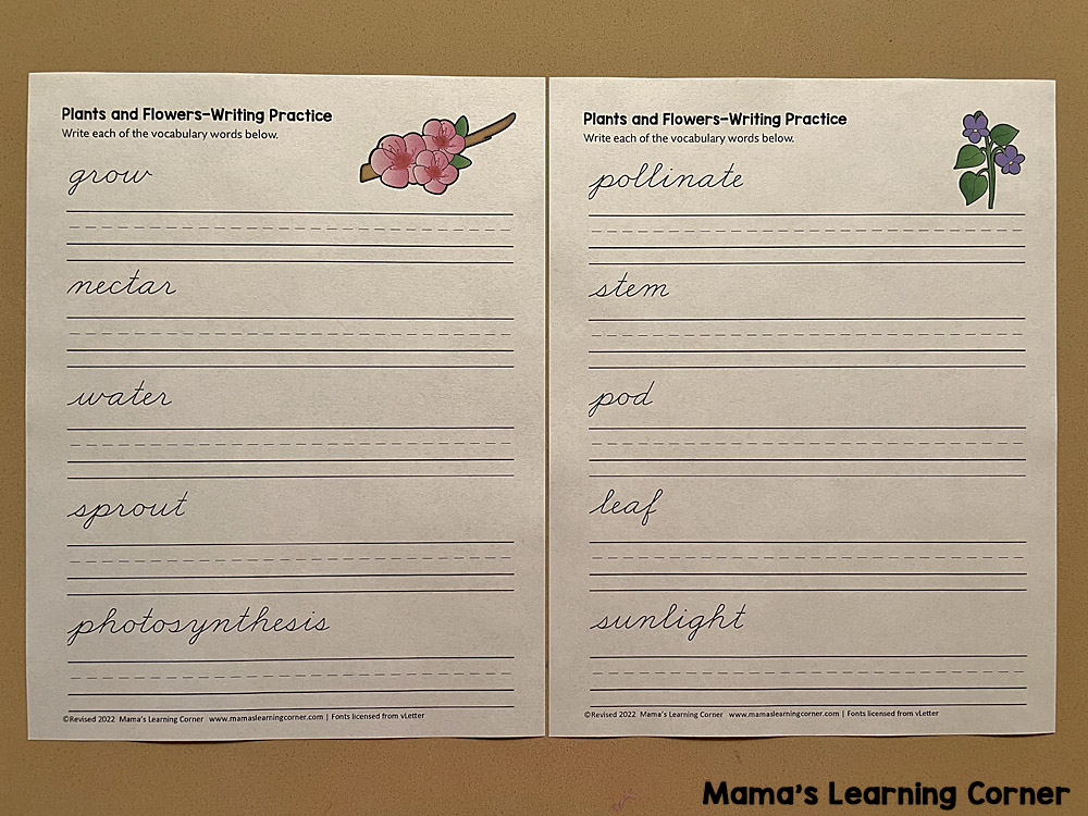 Plants and Flowers Handwriting Practice 