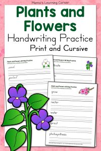 Plants and Flowers Handwriting Practice Revised