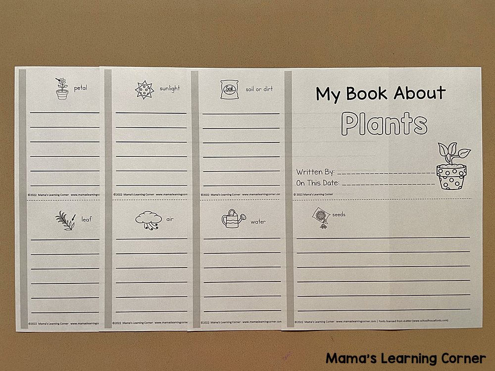 Plants Writing Booklet with Picture Dictionary 
