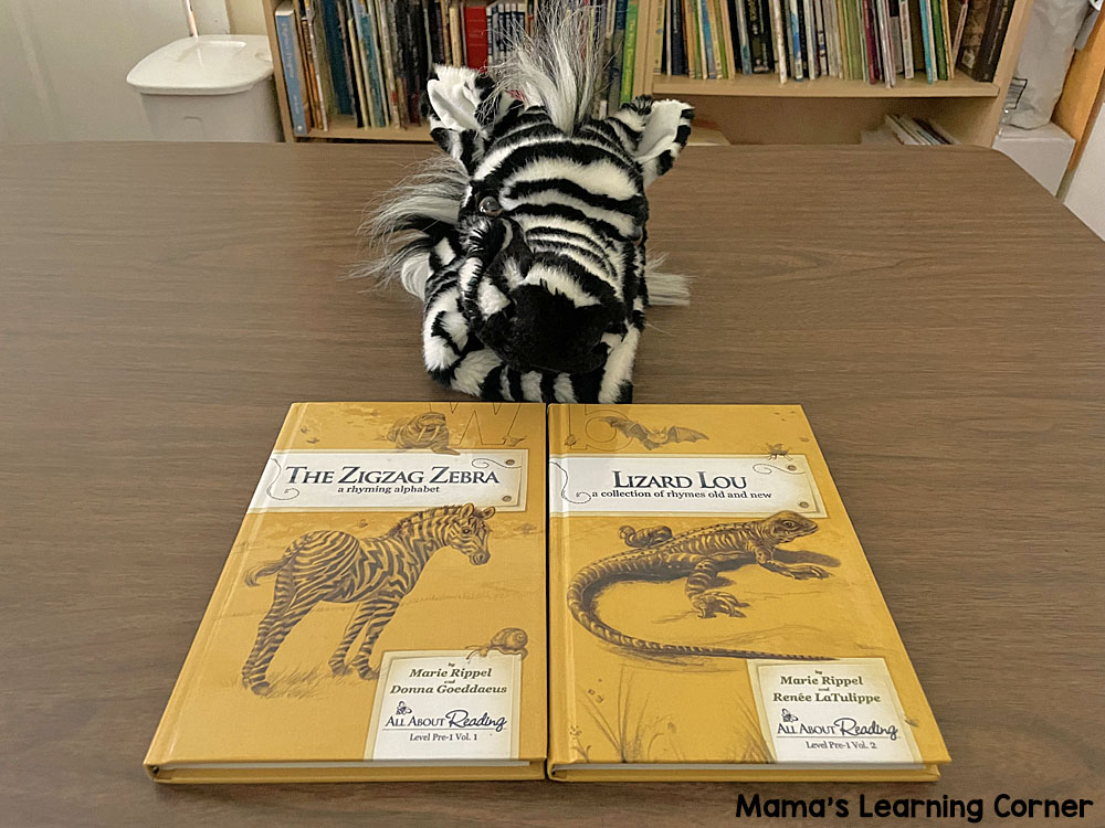 Our Summer Before Kindergarten Plans 1 Ziggy the Zebra
