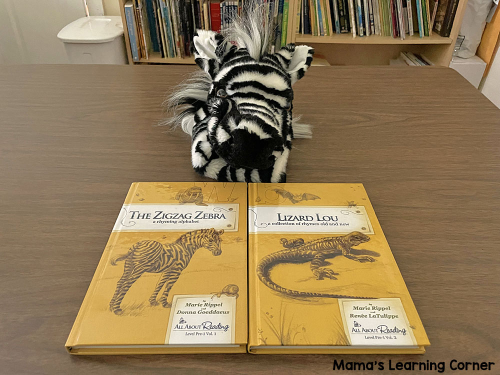 Our Summer Before Kindergarten Plans 1 Ziggy the Zebra - Mamas Learning Corner Our Summer Before Kindergarten Plans 1 Ziggy the Zebra