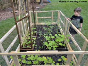 Victory in Jesus Garden