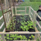 Victory in Jesus Garden