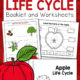 Apple Life Cycle Worksheets and Booklet