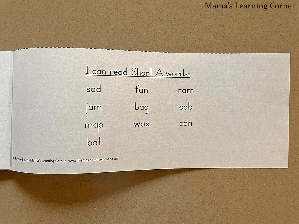 Stamp and Write Short Vowel CVC Booklet 2