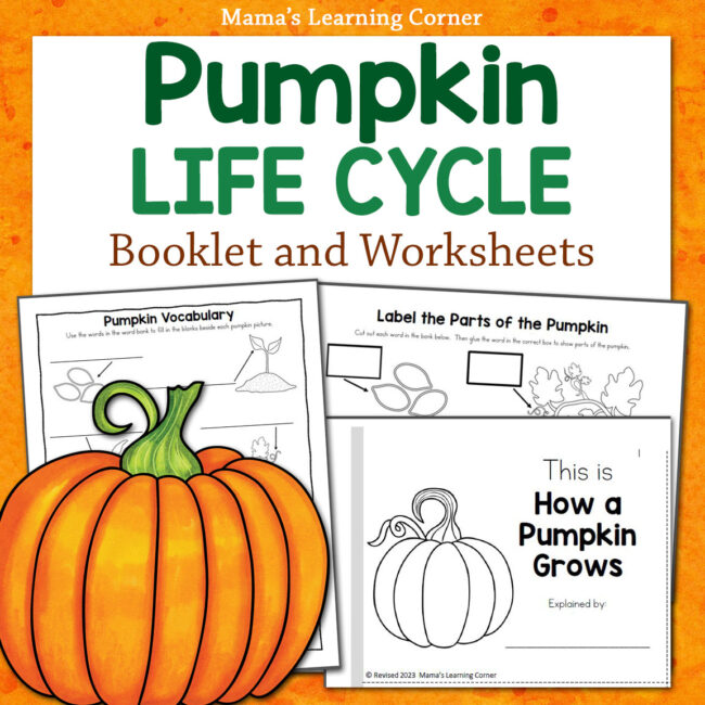 Pumpkin Life Cycle Worksheets and Booklet