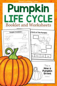 Pumpkin Life Cycle Worksheets and Booklet