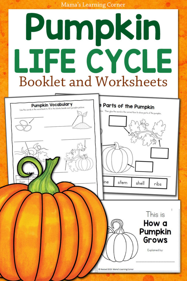 Pumpkin Life Cycle Worksheets and Booklet - Mamas Learning Corner Pumpkin Life Cycle Worksheets and Booklet
