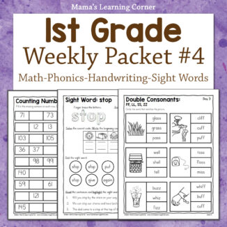 Printable 1st Grade Worksheet Packet