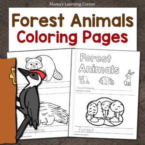 Forest Animals Coloring Pages - Mamas Learning Corner Forest Animals Coloring Pages